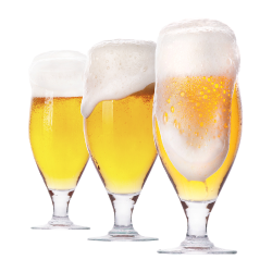 Bier